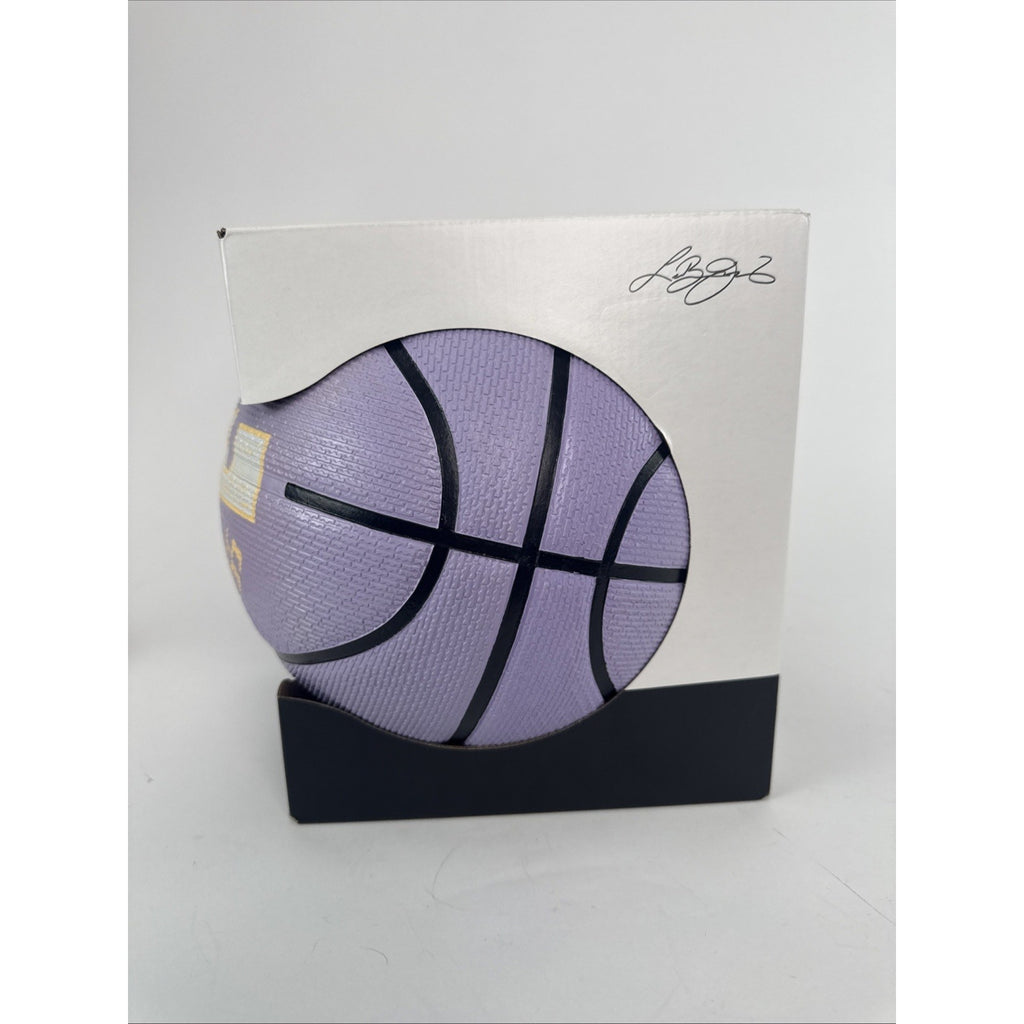 Nike LeBron James Playground Basketball, Purple Full Size