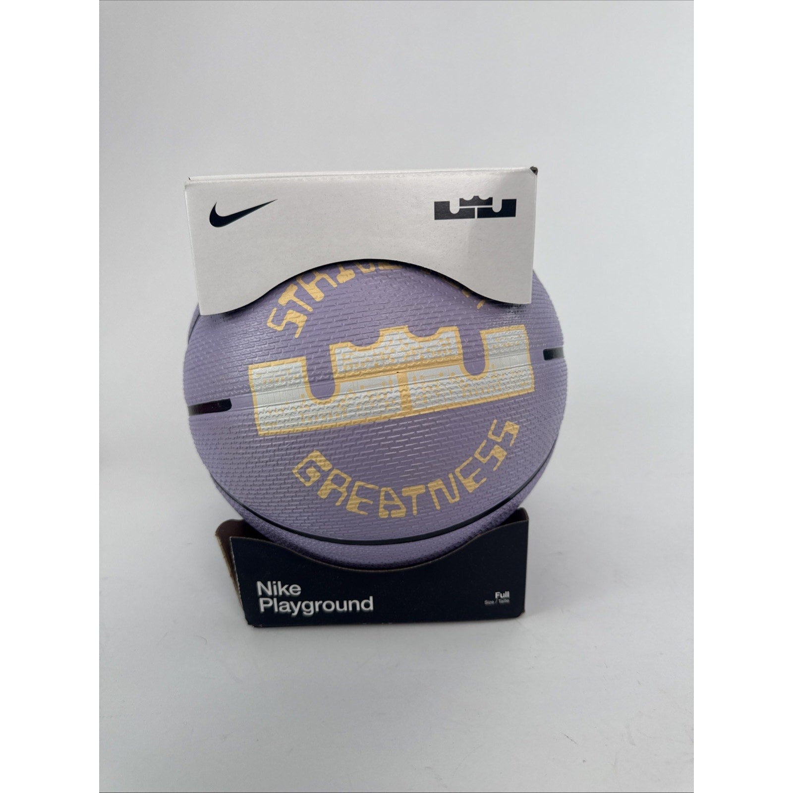 Nike LeBron James Playground Basketball, Purple Full Size