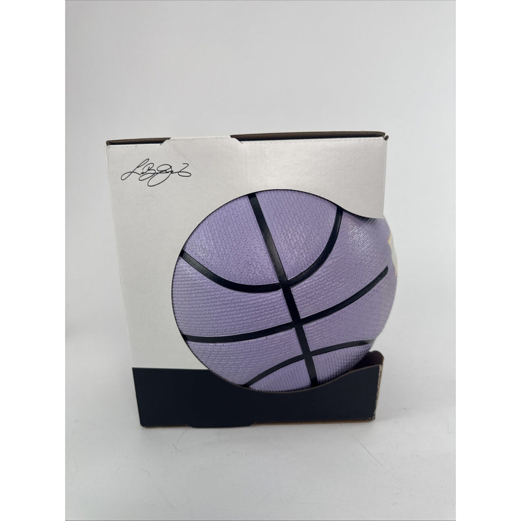 Nike LeBron James Playground Basketball, Purple Full Size