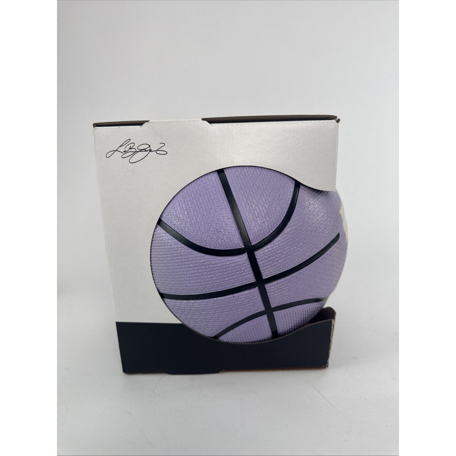 Nike LeBron James Playground Basketball, Purple Full Size